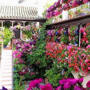 Puerta A La Mezquita Apartamento